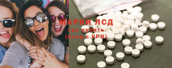 дмт Бородино