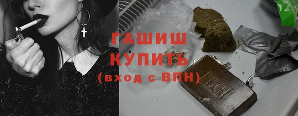 дмт Бородино