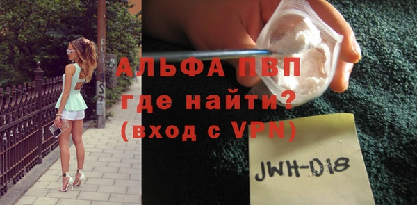 дмт Бородино