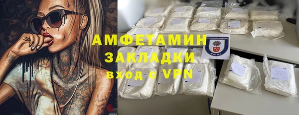 дмт Бородино