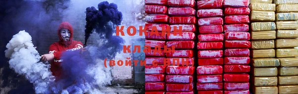дмт Бородино