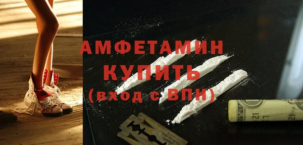 дмт Бородино