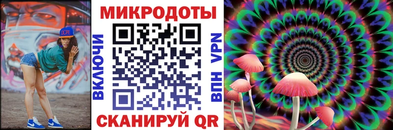 ссылка на мегу   Уфа  Галлюциногенные грибы Psilocybe 